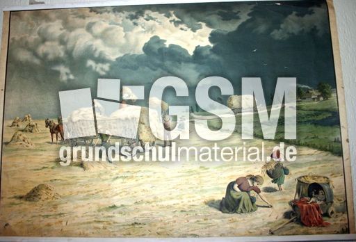 Wandbild-auf-dem Land.jpg